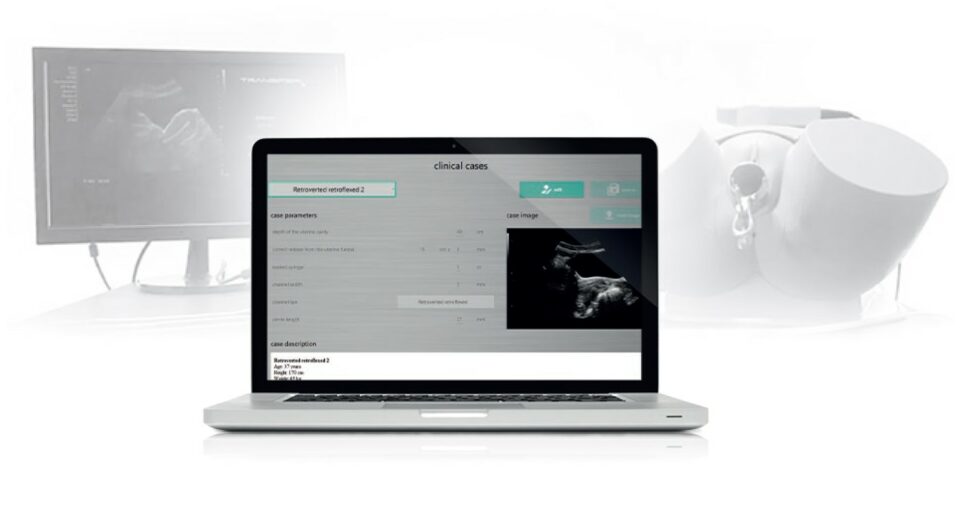 TransferSim ultrasound-guided embryo transfer simulator